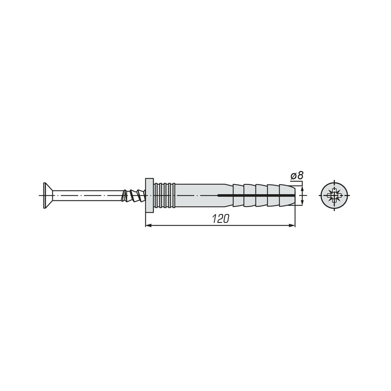 Дюбель-гвоздь SWFS 8L120 (2 шт)